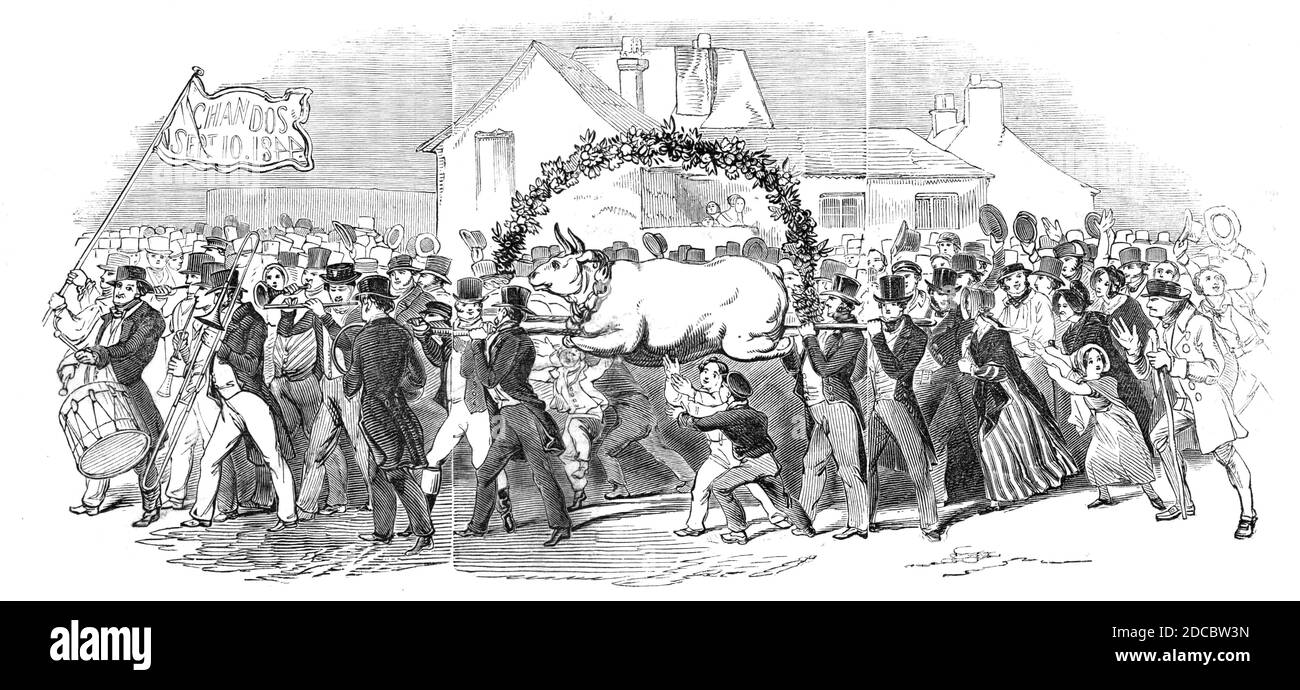 Processione del bue, a Buckingham, 1844. Festeggiamenti a Stowe in Buckinghamshire per il 21° compleanno di Richard Plantagenet Campbell Temple-Nugent-Brydges-Chandos-Grenville: '...festeggiamenti, per celebrare la maggior parte [venuta di età] del marchese di Chandos, il figlio maggiore del duca di Buckingham...'. Da "Illustrated London News", 1844, Vol I. Foto Stock