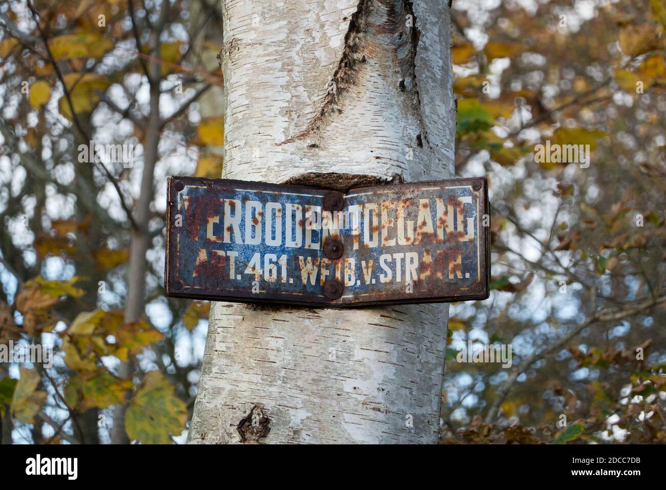 Segno arrugginito con in olandese le parole 'ingresso vietato' inchiodato ad un albero, quasi illeggibile Foto Stock