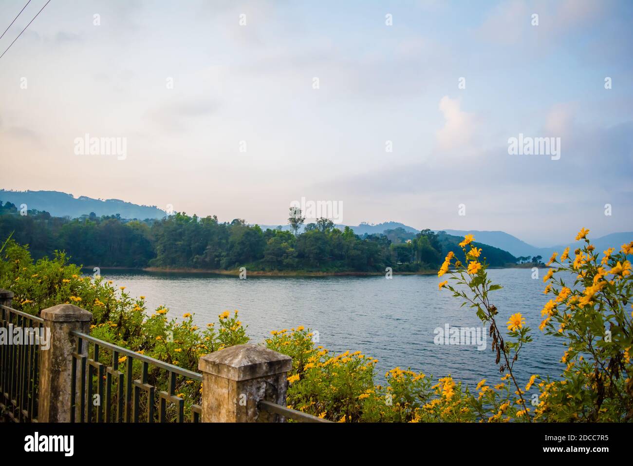 Lago Umiam situato a Shillong. Girasoli al lago di umiam shillong meghalaya india. Foto Stock