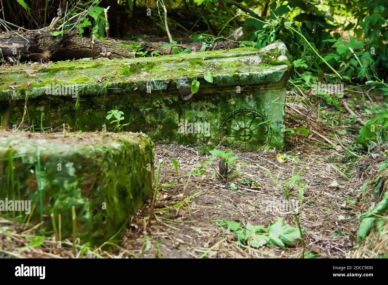 Vecchia lapide con muschio su cimitero abbandonato Foto Stock