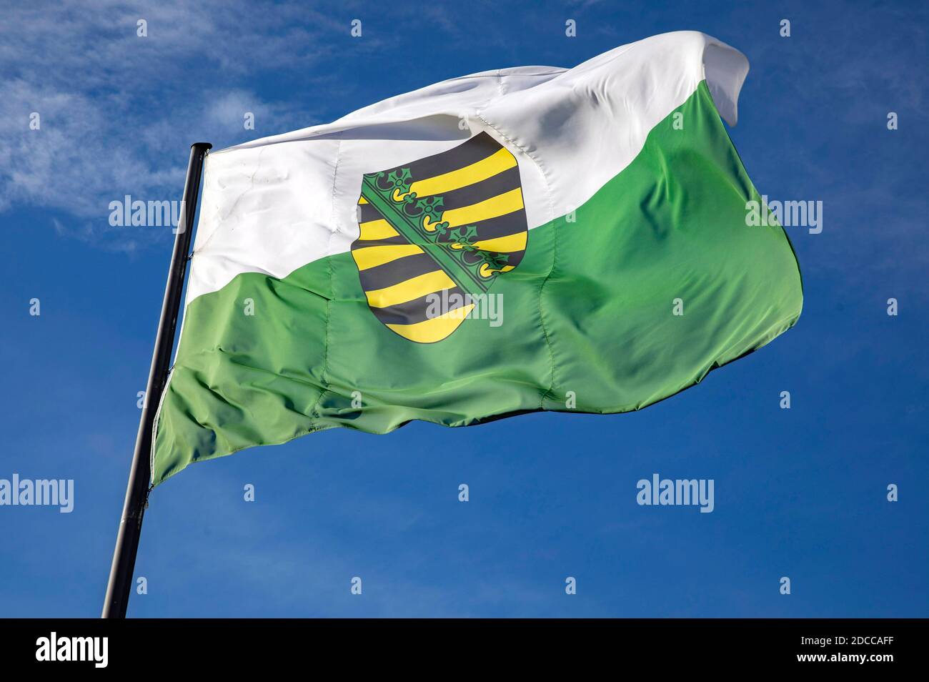 Coblenza, Germania. 17 Nov 2020. Bandiera dello stato federale della Sassonia con stemma. Coblenza, 17 novembre 2020 | Use worldwide Credit: dpa/Alamy Live News Foto Stock