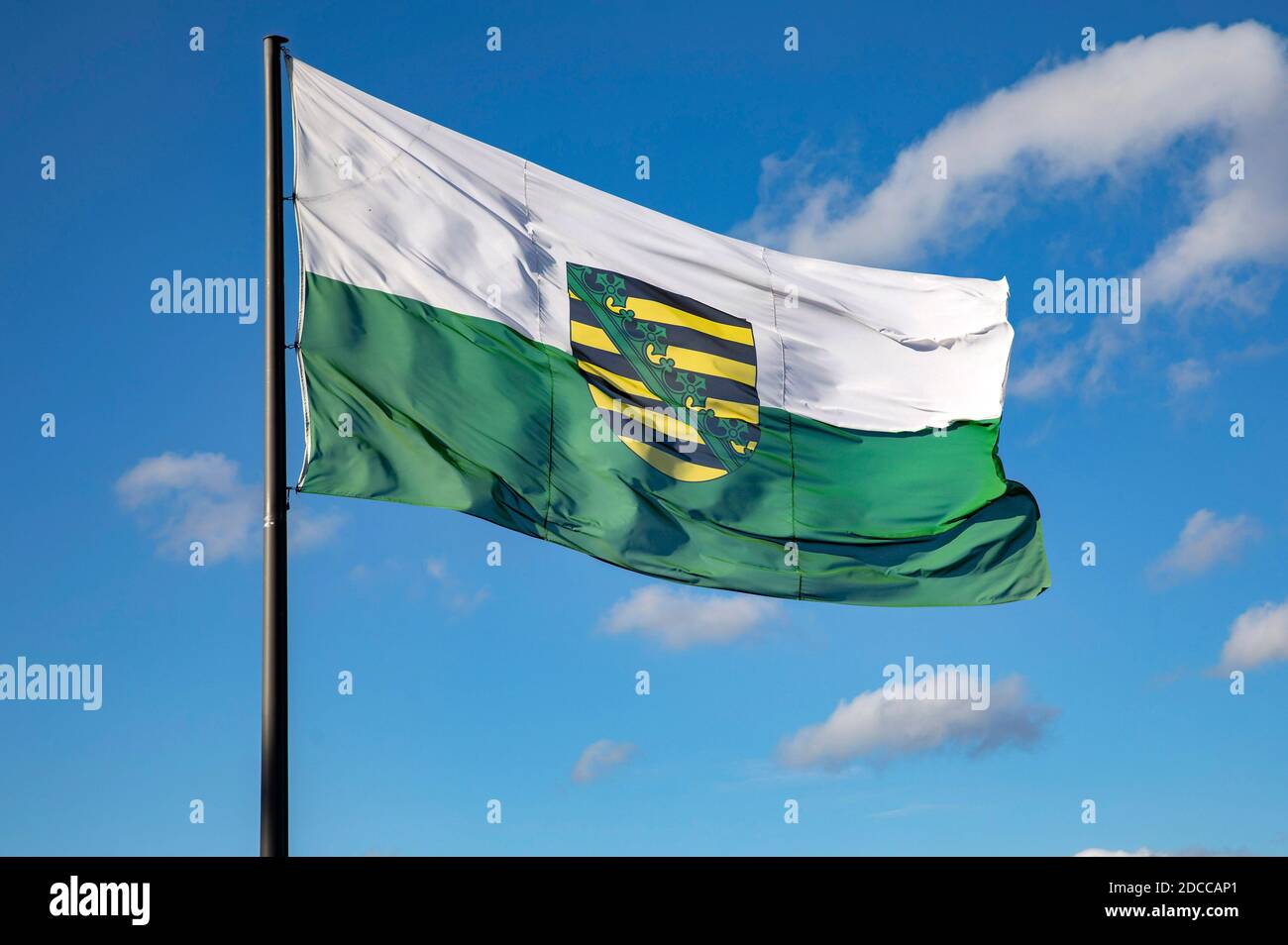 Coblenza, Germania. 17 Nov 2020. Bandiera dello stato federale della Sassonia con stemma. Coblenza, 17 novembre 2020 | Use worldwide Credit: dpa/Alamy Live News Foto Stock