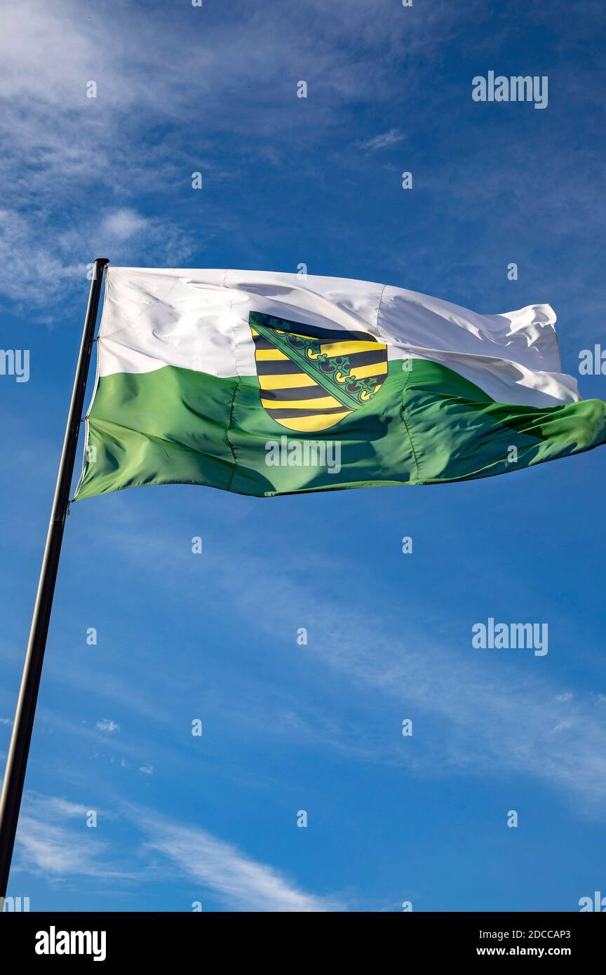 Coblenza, Germania. 17 Nov 2020. Bandiera dello stato federale della Sassonia con stemma. Coblenza, 17 novembre 2020 | Use worldwide Credit: dpa/Alamy Live News Foto Stock