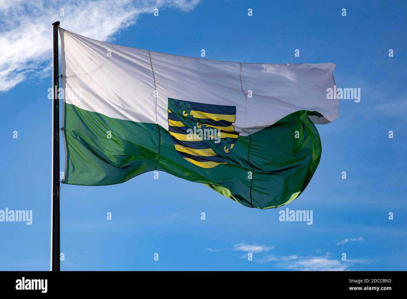 Coblenza, Germania. 17 Nov 2020. Bandiera dello stato federale della Sassonia con stemma. Coblenza, 17 novembre 2020 | Use worldwide Credit: dpa/Alamy Live News Foto Stock