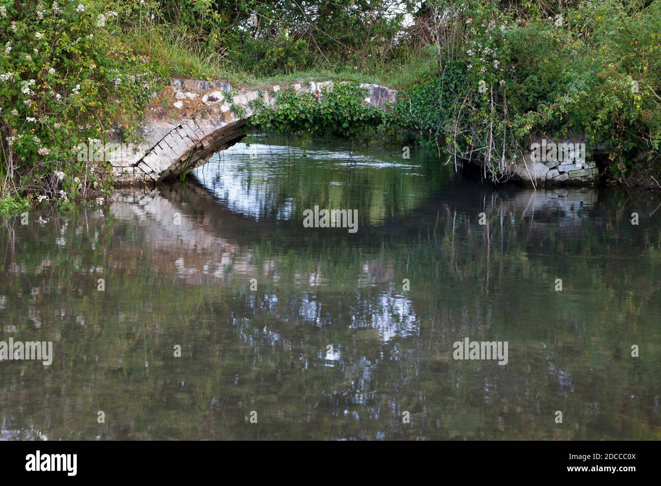 Un ponte pedonale sul fiume Ebble vicino a Odstock nel Wiltshire. Foto Stock