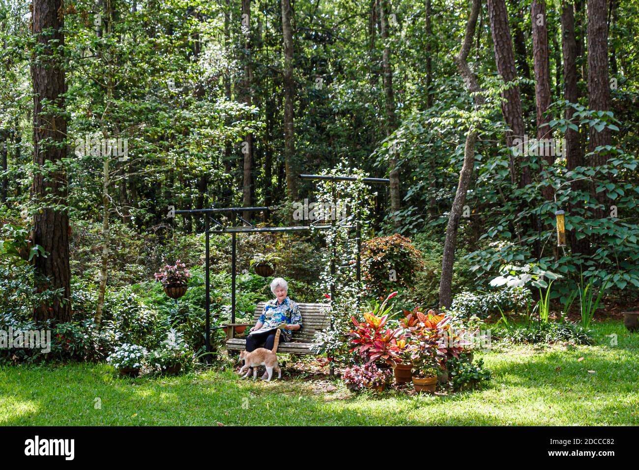 Louisiana St. Tammany Parish Northshore,Slidell,Garden Guest House Bed & Breakfast,Garden outside swing Senior woman, Foto Stock