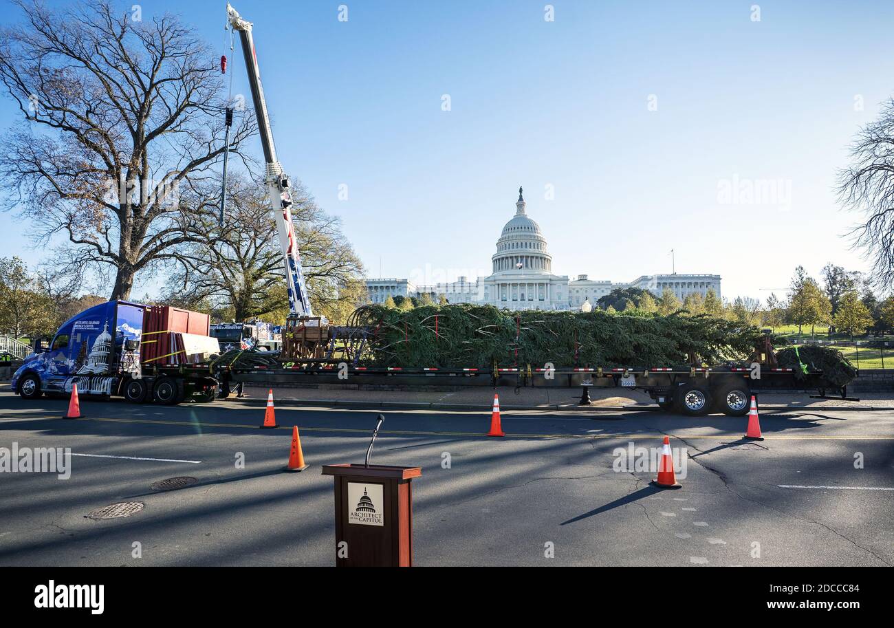 L'albero di Natale del Campidoglio degli Stati Uniti del 2020 arriva nei terreni del Campidoglio degli Stati Uniti a Washington, DC venerdì 20 novembre 2020. L'albero di Natale del Campidoglio è un abete di Engelmann proveniente dalle foreste nazionali di Grand Mesa, Uncompahgre e Gunnison (GMUG) in Colorado. Foto di Kevin Dietsch/UPI Foto Stock