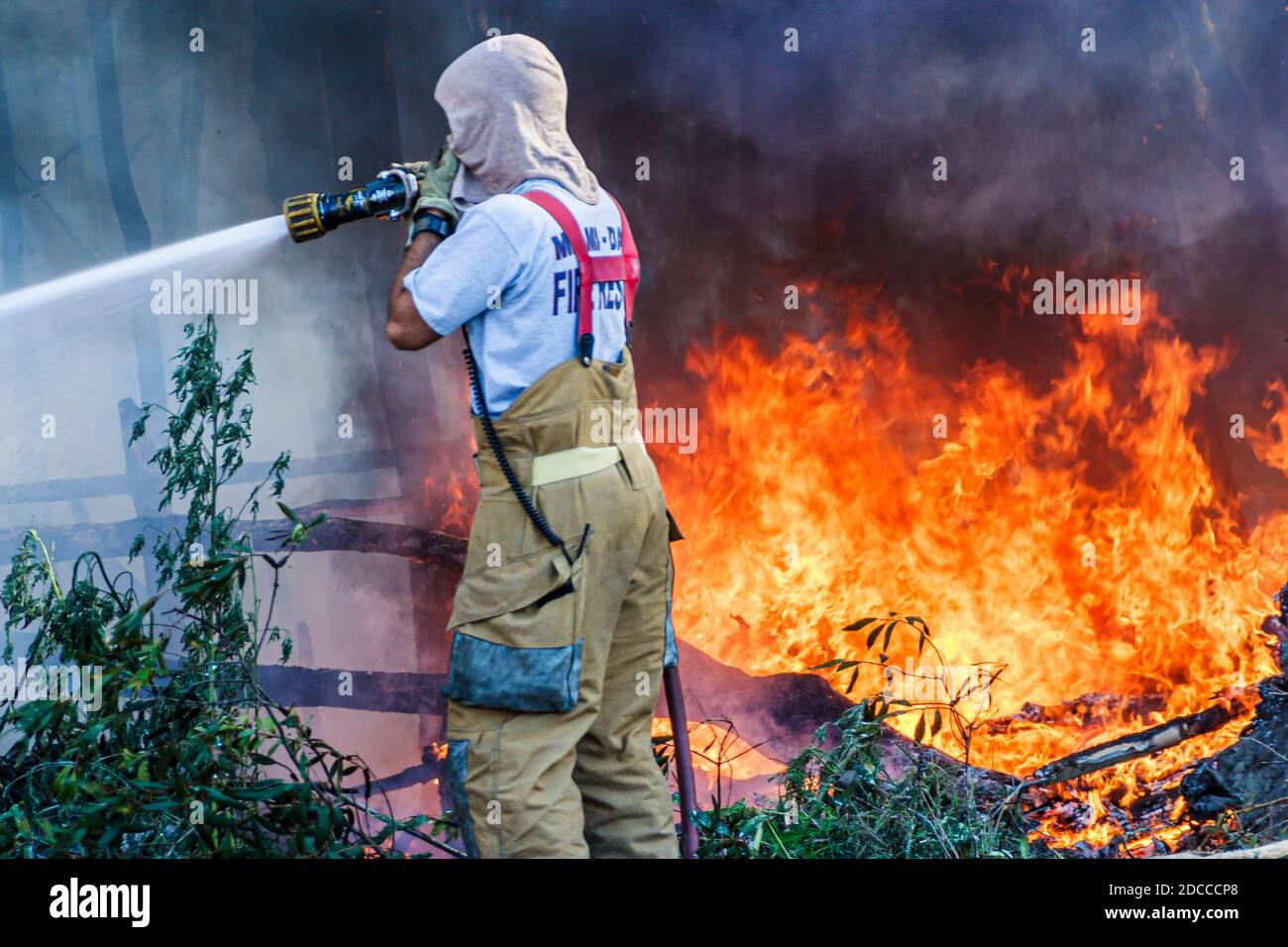Miami Florida, Pennsuco West Okeechobee Road, fuoco danneggiato alberi cenere bruciare controllato, pompieri vigili del fuoco Everglades bordo fumo, Foto Stock