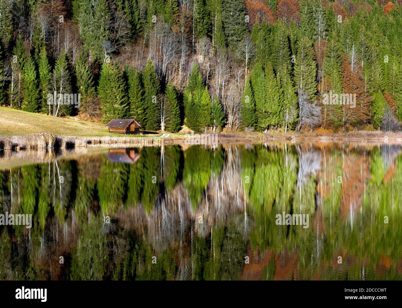 Bella singola capanna di legno circondata da alberi d'autunno riflessa lago di montagna Foto Stock