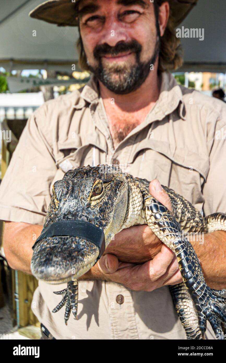 Miami Florida,Springs River Festival fair 3 tre anni Everglades alligatore naturalista detiene, gestore di animali, Foto Stock