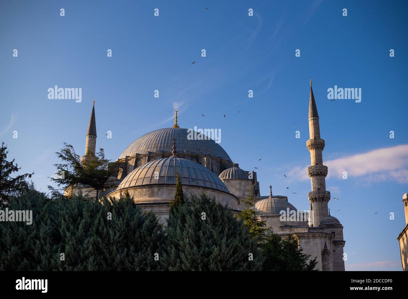 Il bellissimo Suleymaniye Camii a Istanbul, Turchia Foto Stock