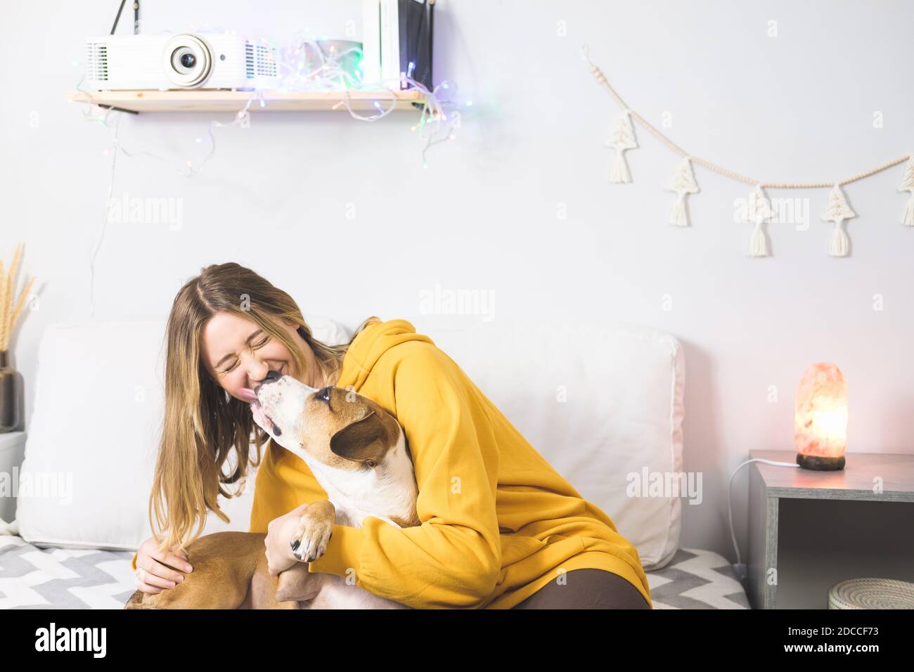 Il cane felice leccò il volto della donna, la scena della camera da letto interna. Gioia da animali domestici a casa o durante il blocco o l'isolamento, freddo stagione invernale Foto Stock
