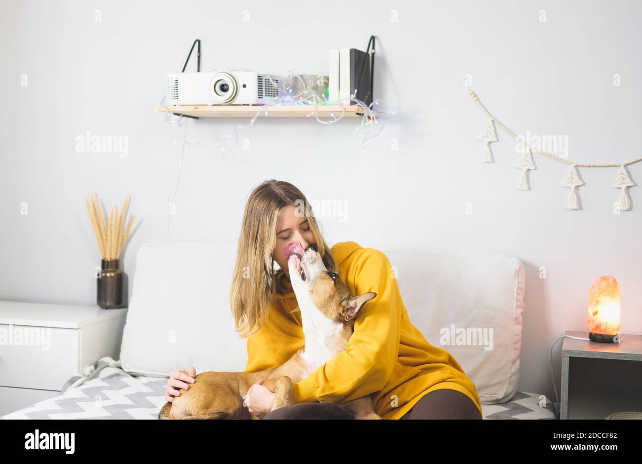 Il cane felice leccò il volto della donna, la scena della camera da letto interna. Gioia da animali domestici a casa o durante il blocco o l'isolamento, freddo stagione invernale Foto Stock