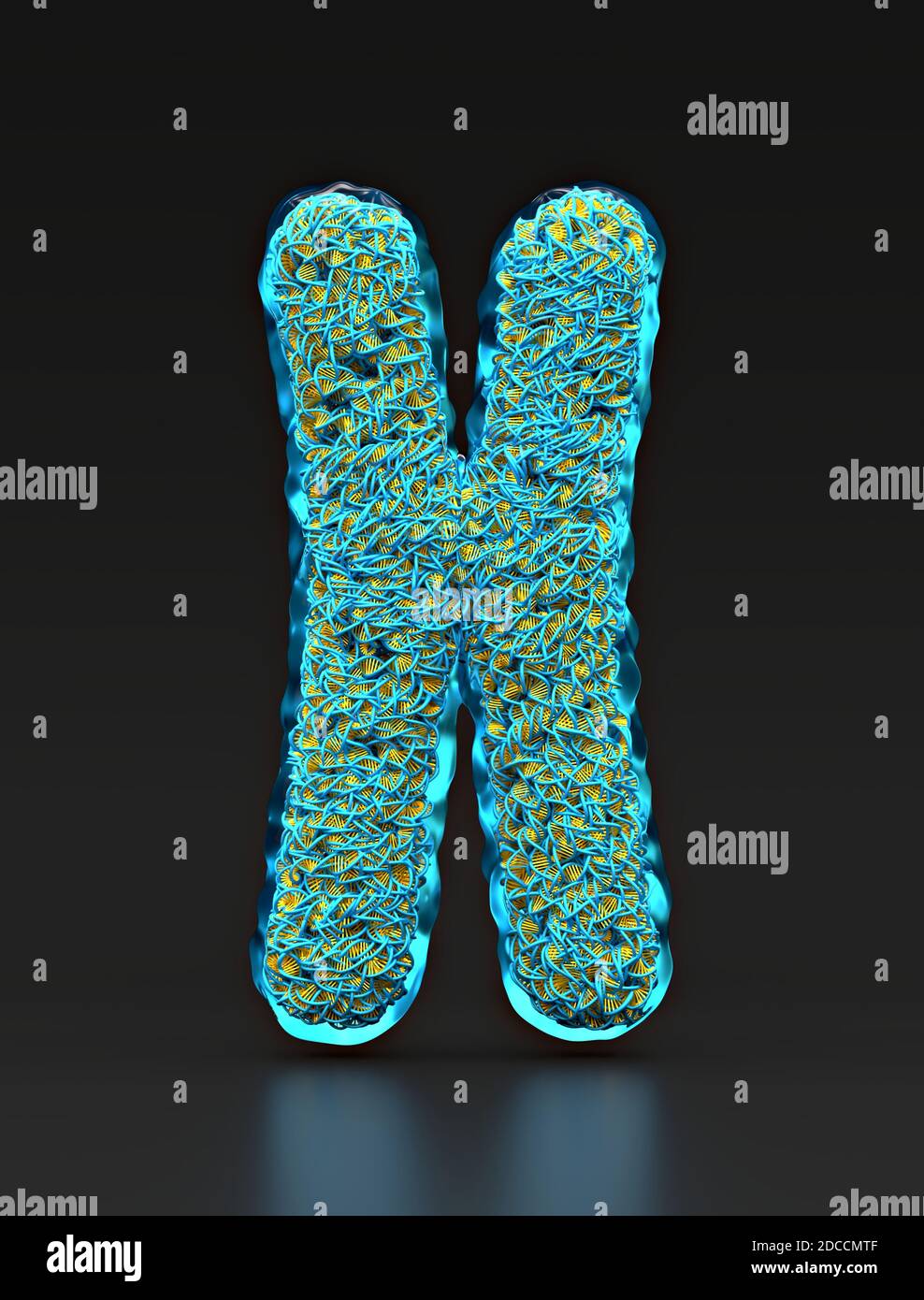 Primo piano su un cromosoma trasparente riempito di DNA, su uno sfondo nero lucido Foto Stock