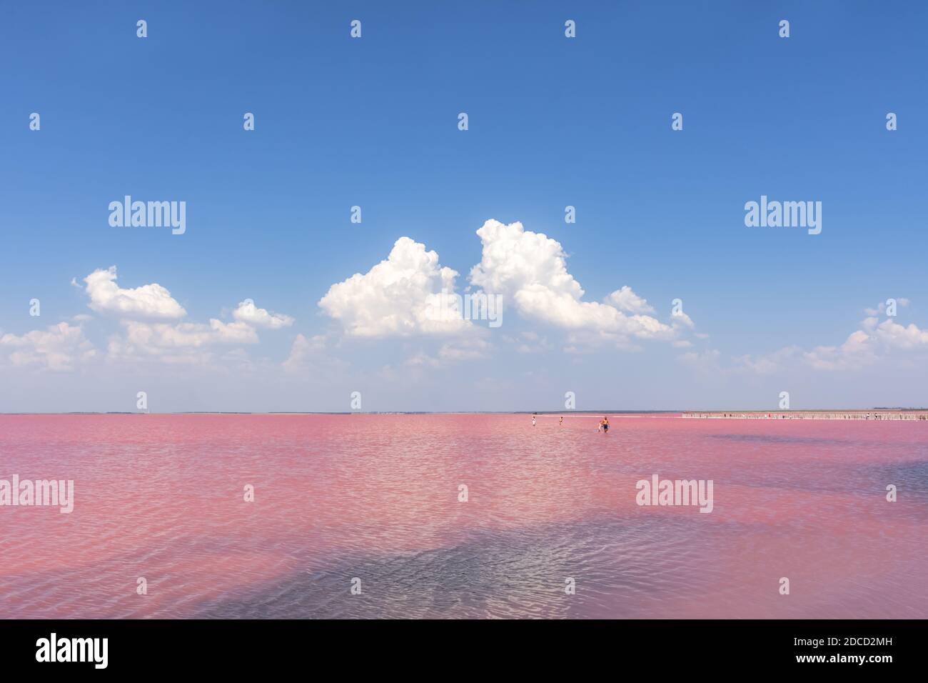 Lago salato rosa Sasik-Sivash in Crimea. Splendido paesaggio fiabesco con lago e cielo blu con nuvole e persone. Industria del sale. Sale rosa con m Foto Stock