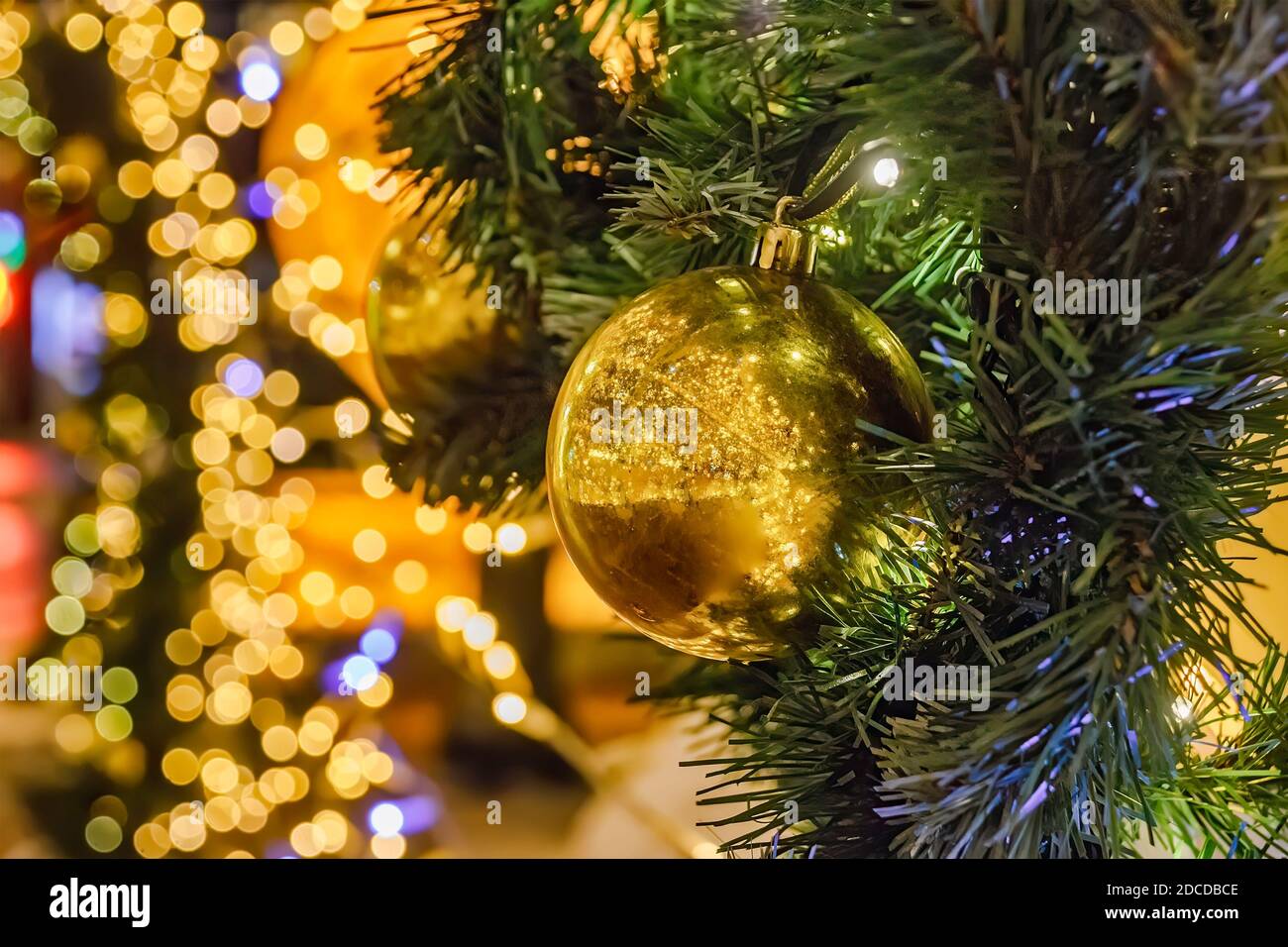 La sfera d'oro è appesa su un ramo di abete rosso Foto Stock