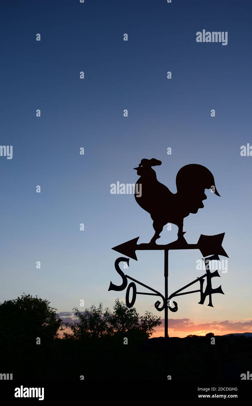 paletta meteorologica rooster, silhouette contro il cielo, alba Foto Stock