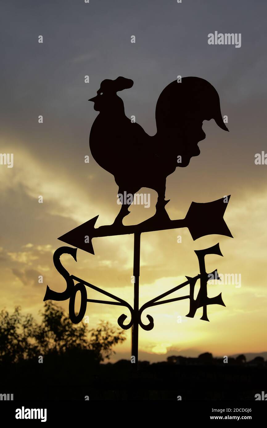 paletta meteorologica rooster, silhouette contro il cielo, alba Foto Stock