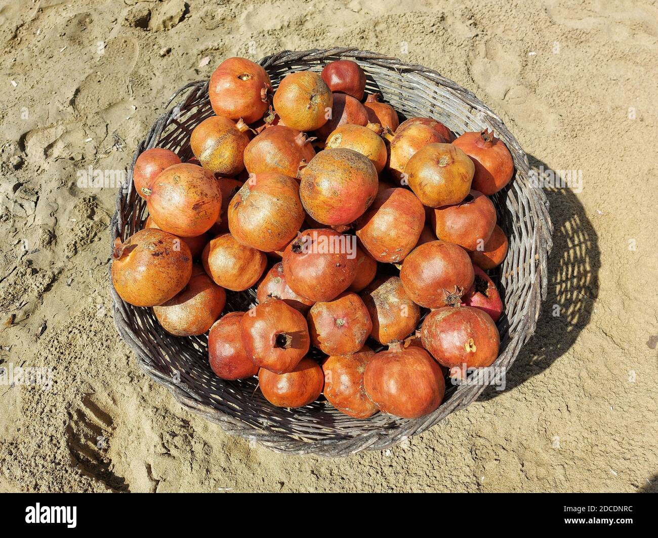 Melograni maturi rossi in un cesto di vimini rotondo Foto Stock