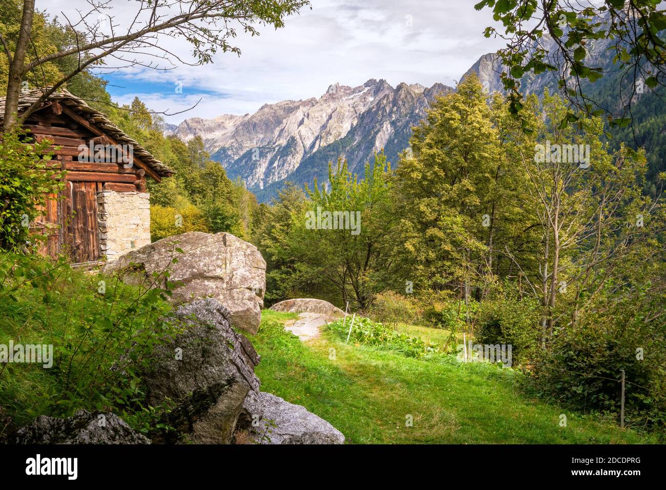 Fine estate, inizio autunno nelle montagne vicino a Soglio, un villaggio nel distretto di Maloja nel cantone svizzero di Graubünden vicino al borde italiano Foto Stock