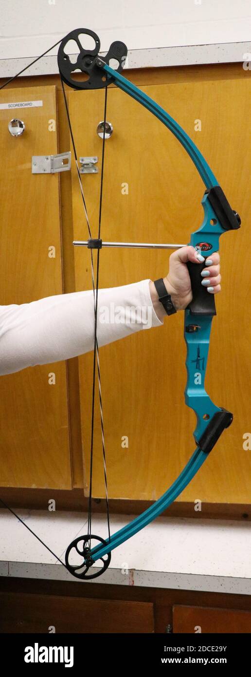 Tirare indietro la corda su un arco di tiro con l'arco. Foto Stock