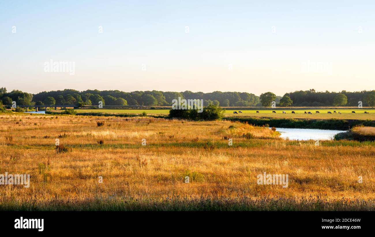 Nei Paesi Bassi orientali si trova una valle del fiume Vecht (Vechtdal in olandese). Il sole sta tramontando nella valle vicino al villaggio Marienberg. Foto Stock