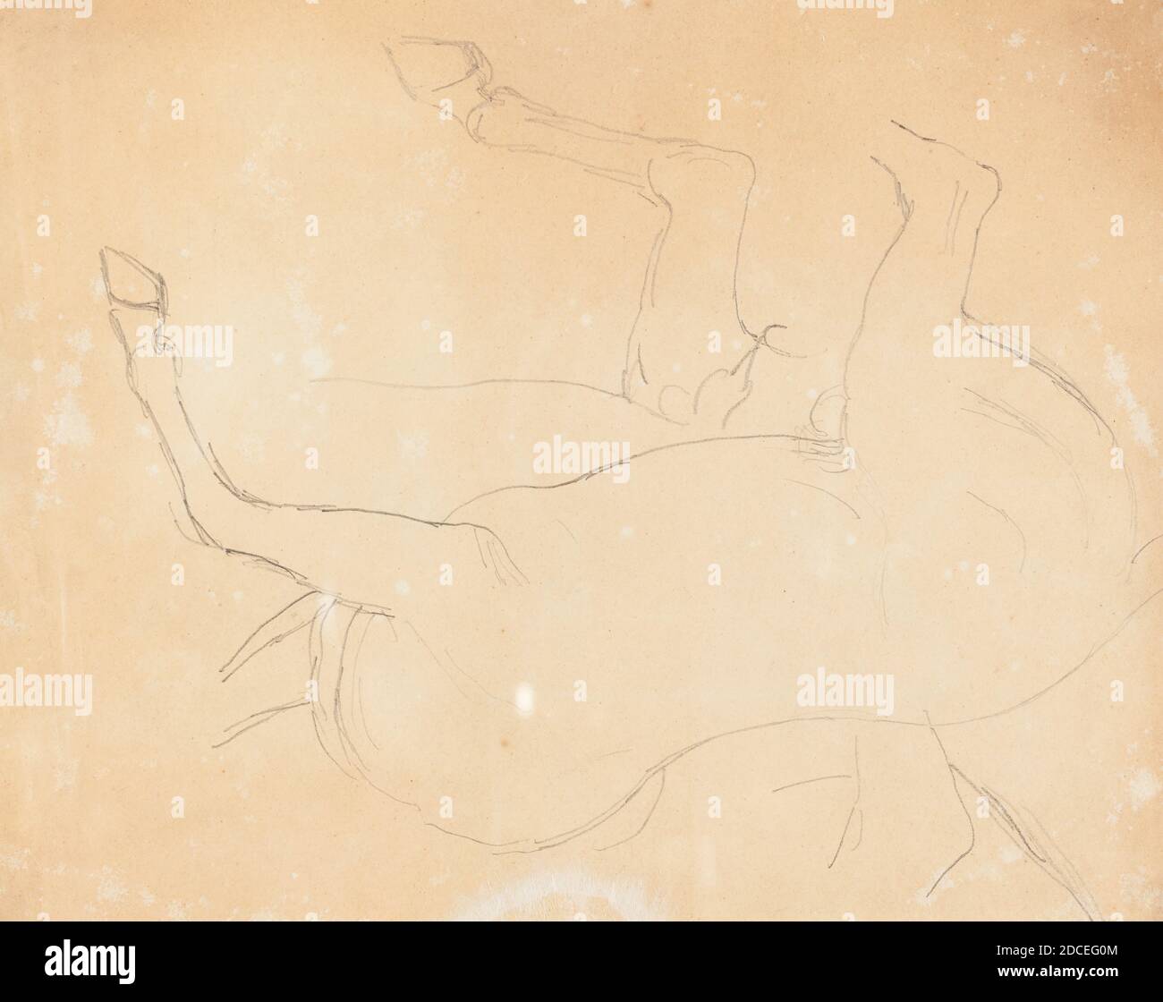 William Etty, (artista), British, 1787 - 1849, Study of a Horse, dopo il 1807, grafite su carta di wove Foto Stock