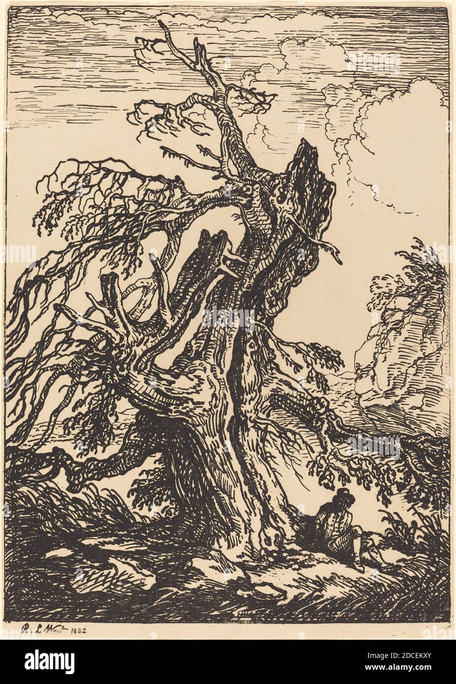 Raphael Lamar West, (artista), British, 1769 - 1850, Studio di un albero, esemplari di poliautografia, (serie), 1802, litografia a penna e a tusche Foto Stock