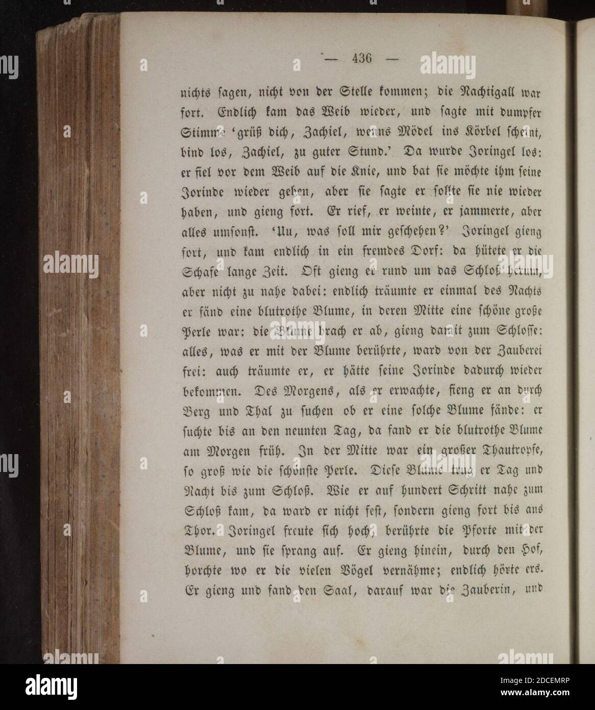 Kinder und Hausmärchen (Grimm) 1840 i 436. Foto Stock