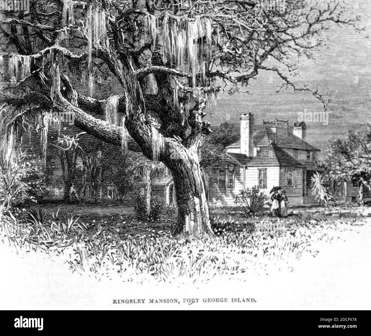 Kingsley Plantation Etching 1878. Foto Stock