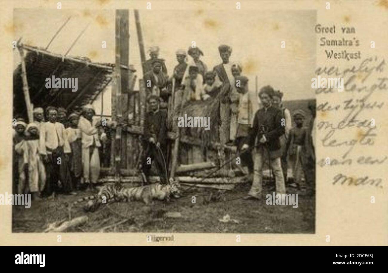 - Westkust di Tijgerval Groet van Sumatra - 1895 - 1906. Foto Stock