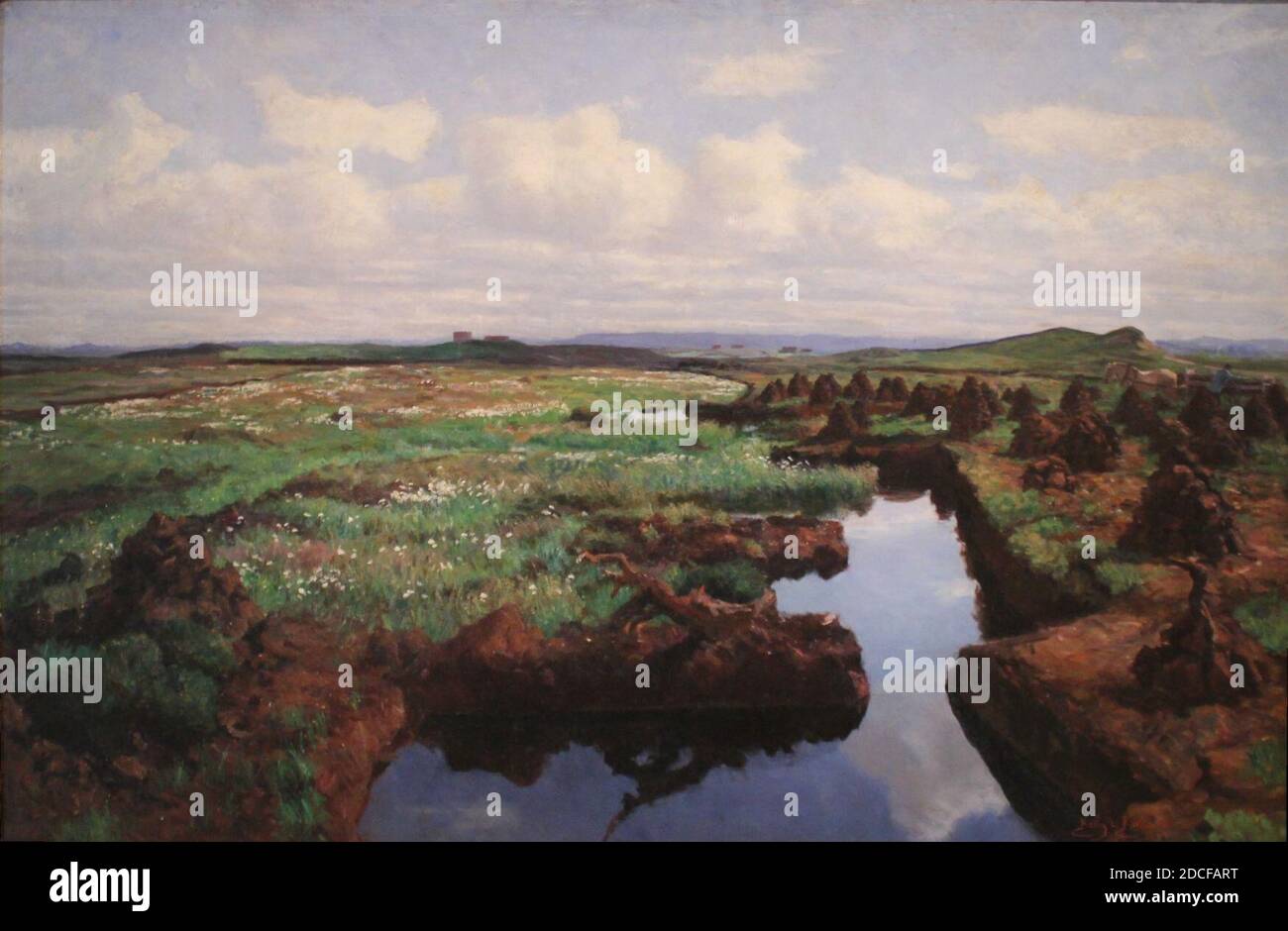 Tourbière à Jæren. Foto Stock