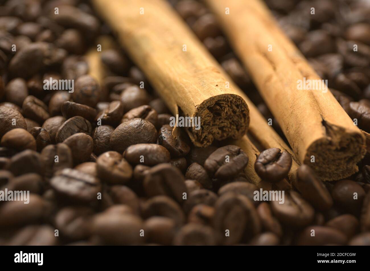 La cannella si attacca sui chicchi di caffè sfocano lo sfondo. Primo piano. Foto Stock