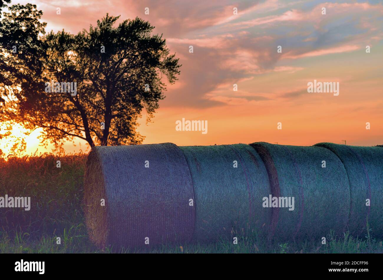 Burlington, Illinois, Stati Uniti. Le balle di fieno riposano in un campo agricolo mentre il sole tramonta sotto l'orizzonte in una scena rurale dal nord-est dell'Illinois. Foto Stock