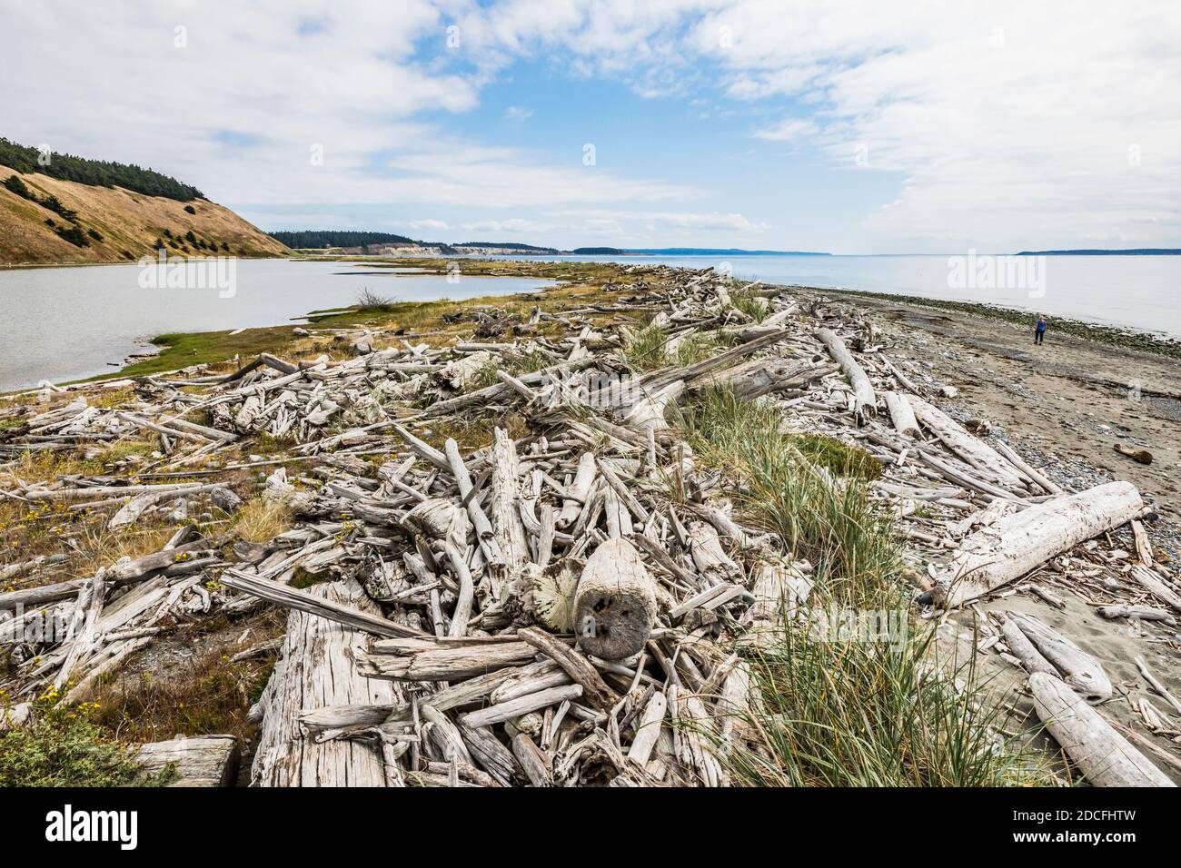 La laguna sotto Ebey's Landing Bluff Trail, Whidbey Island, Washington, USA. Foto Stock