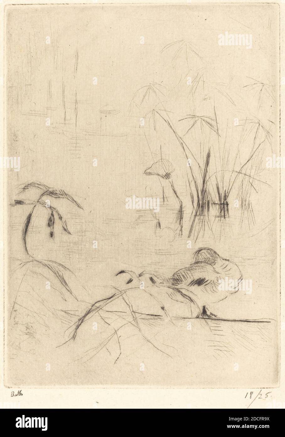 Berthe Morisot, (artista), francese, 1841 - 1895, anatre a riposo sulla Banca, Cahier de huit pointes seches, (serie), 1888/1890, drypoint Foto Stock