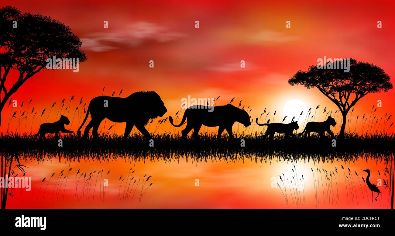 Leoni africani sullo sfondo di tramonto, alberi e lago. Una famiglia di leoni africani per una passeggiata. Savannah. Vita selvaggia dell'Africa. Natura. Illustrazione Vettoriale
