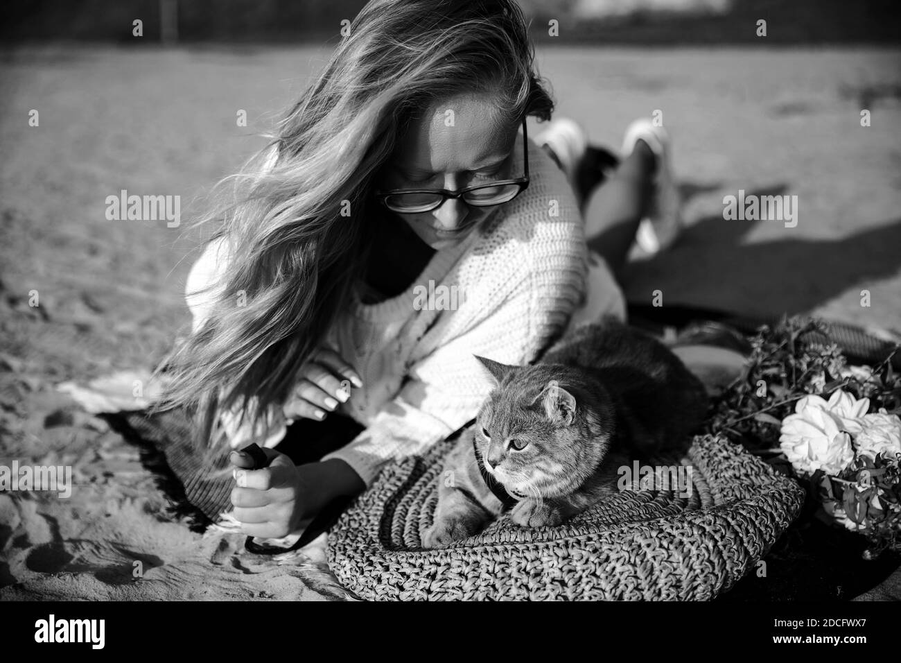 Vista dall'alto di una donna in occhiali e di un pullover bianco sulla spiaggia con il suo cucciolo di razza scozzese rettangolare grigio al tramonto. Il gatto giace su una borsa di paglia vicino ai fiori. Foto Stock
