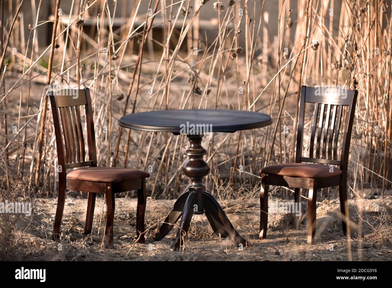 Pranzo in legno marrone in natura Foto Stock