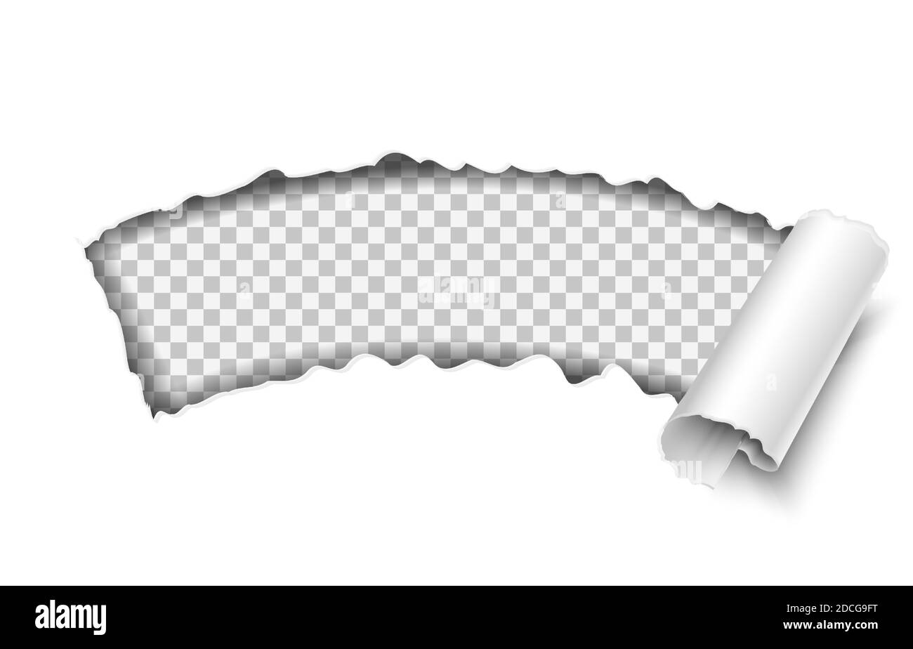 carta vettoriale 3d realistica strappata su sfondo bianco, modello con spazio per il testo. Illustrazione Vettoriale