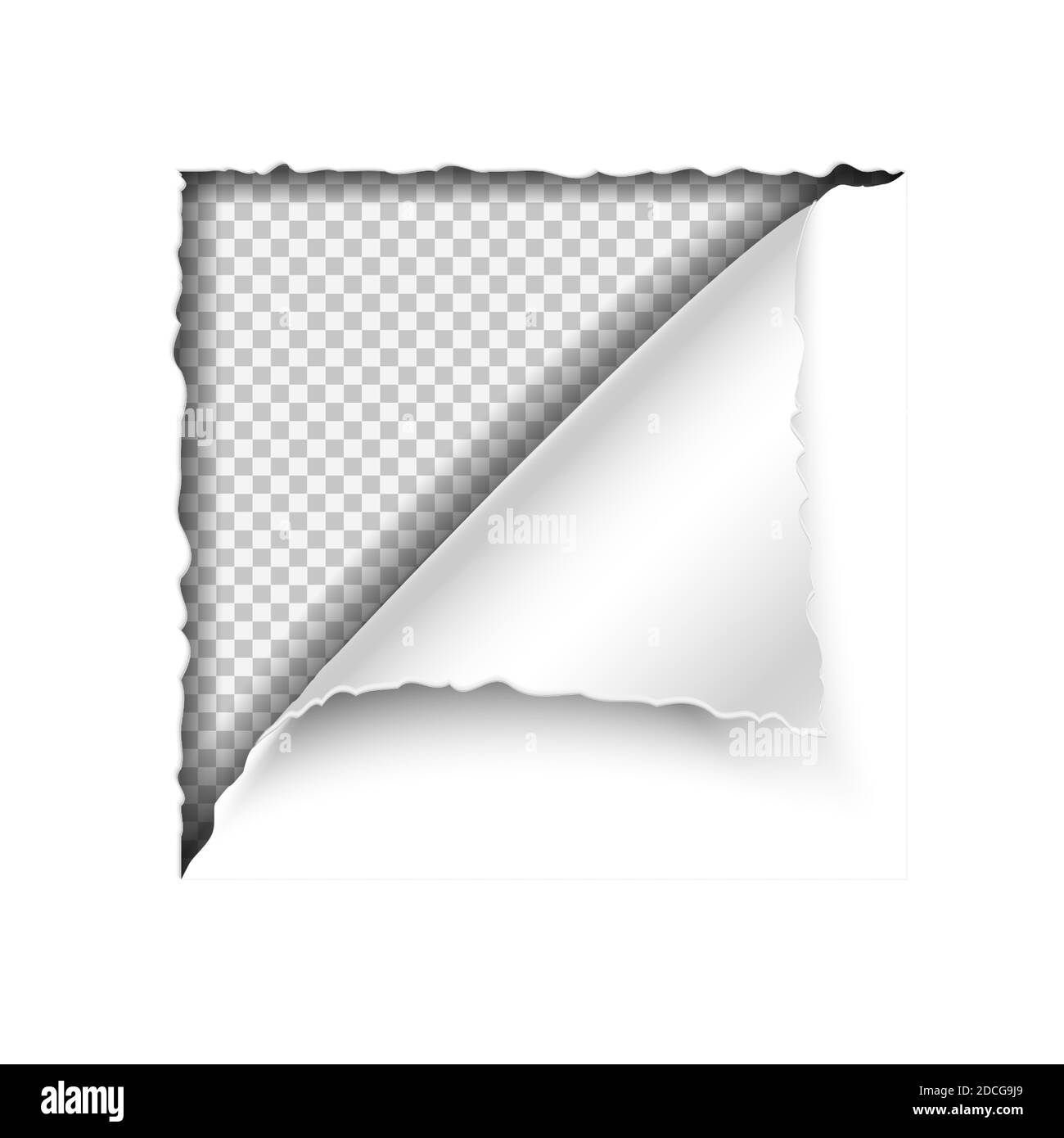 carta vettoriale 3d realistica angolo strappato su sfondo bianco, modello con spazio per il testo. Illustrazione Vettoriale