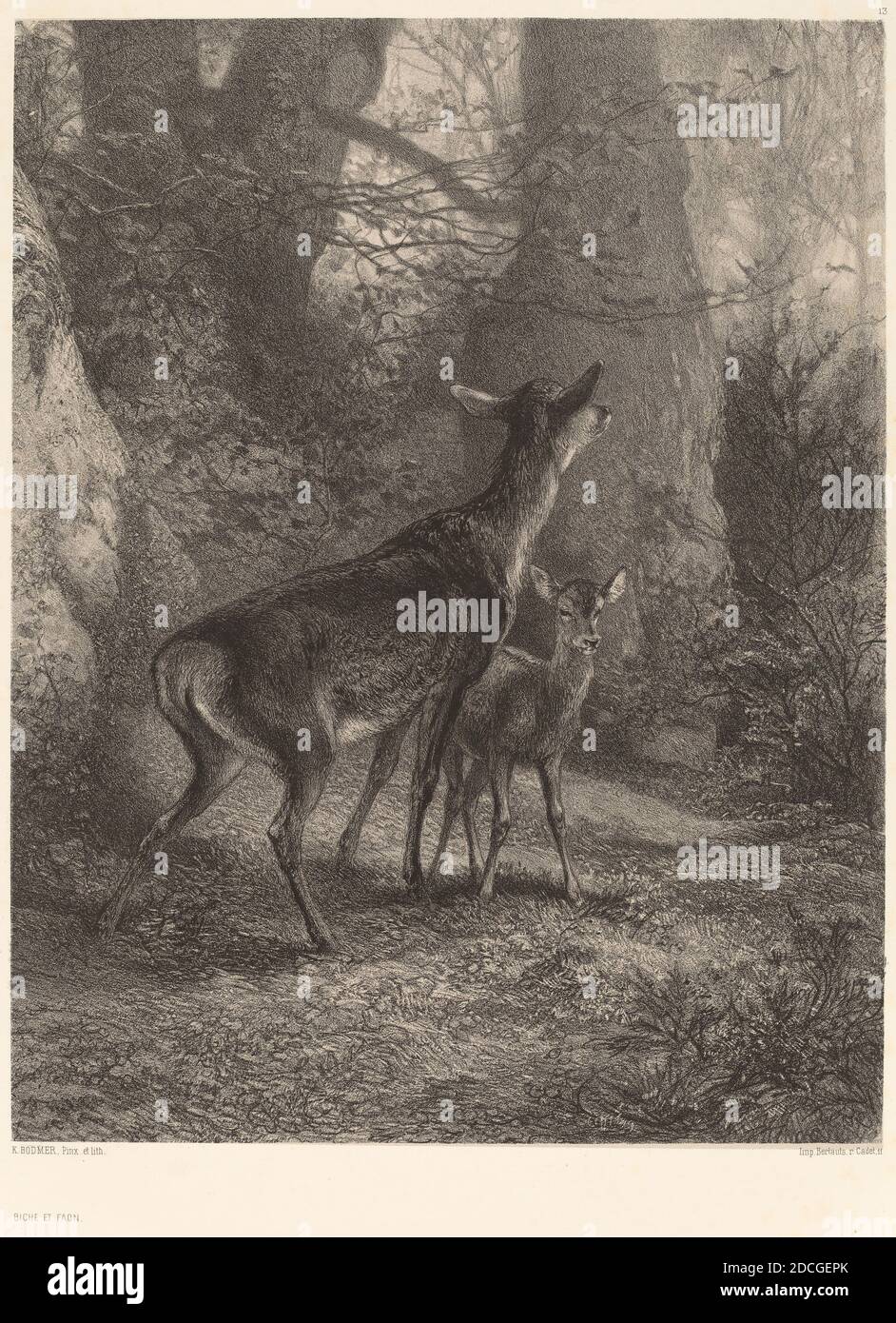 Karl Bodmer, (artista), svizzero, 1809 - 1893, Biche et Faon, litografia Foto Stock