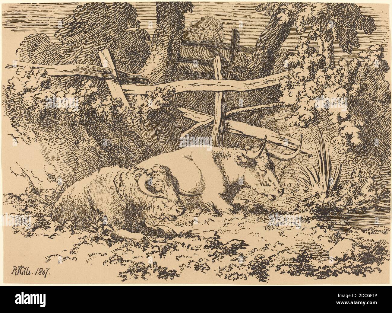Robert Hills, (artista), British, 1769 - 1844, bestiame che riposa, esemplari di poliautografia, (serie), 1807, litografia a penna e a tusche Foto Stock