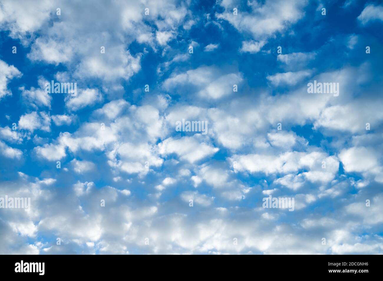 Nuvole bianche e soffici, probabilmente nubi di Altocumulus nell'atmosfera media, contro il cielo blu in autunno, in una giornata di sole asciutto. Foto Stock