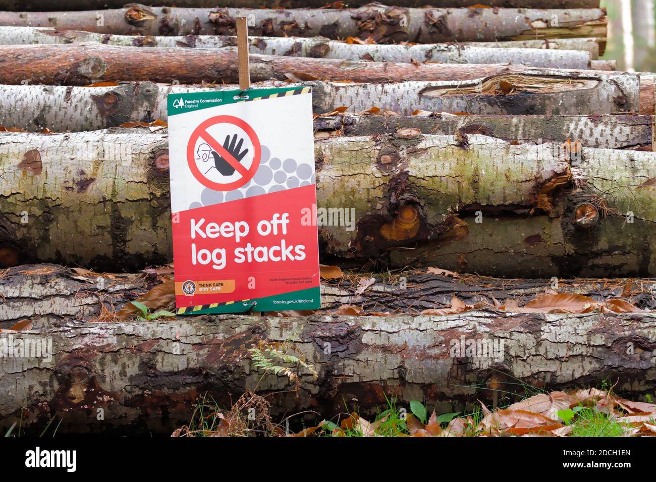 Keep Off Log Stacks segnale di avvertimento dalla commissione forestale Fissato a UN pile di tronchi New Forest Hampshire Inghilterra REGNO UNITO Foto Stock