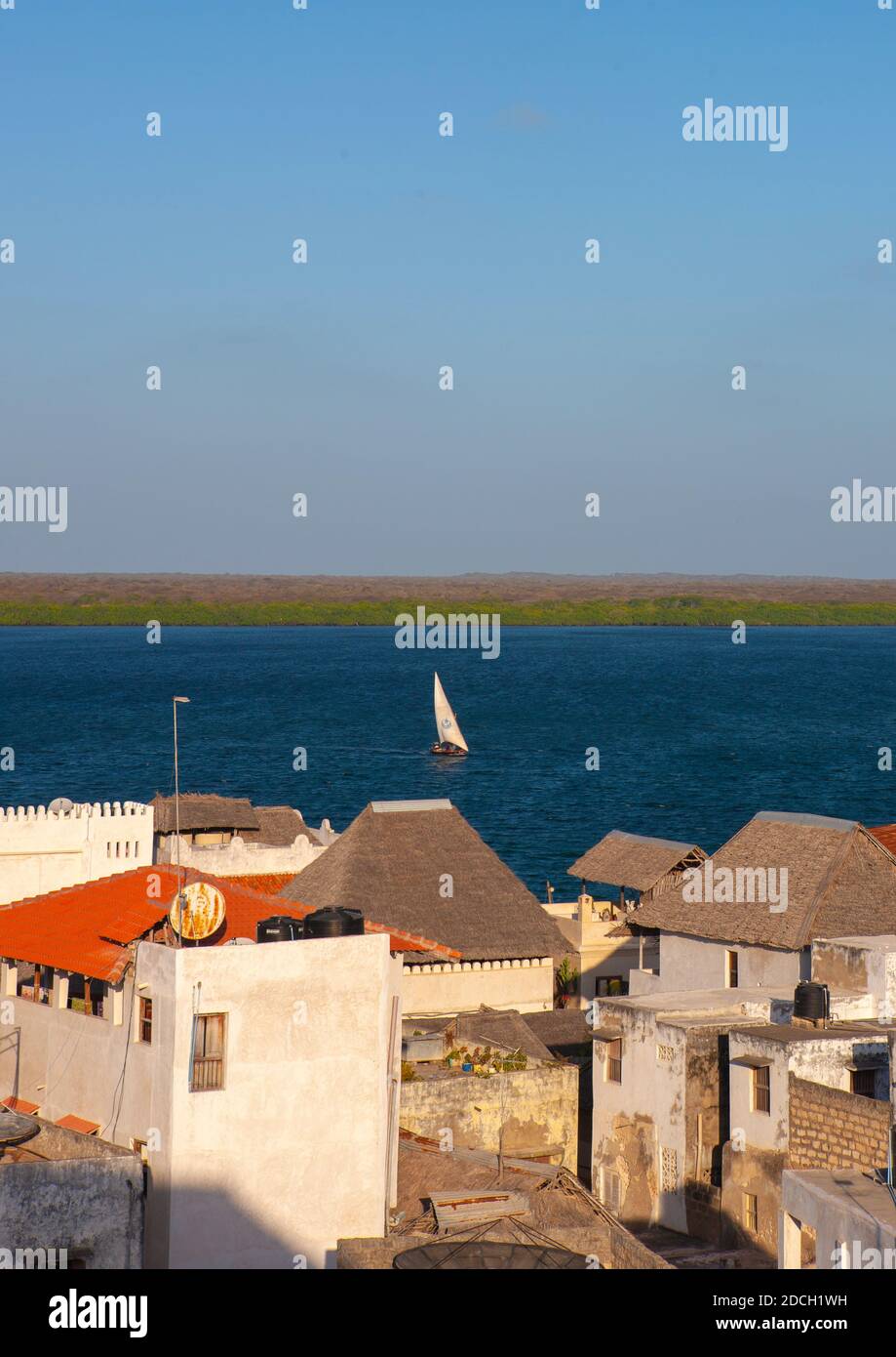 Vista ad alto angolo della città vecchia con case cittadine in pietra, Lamu County, Lamu, Kenya Foto Stock