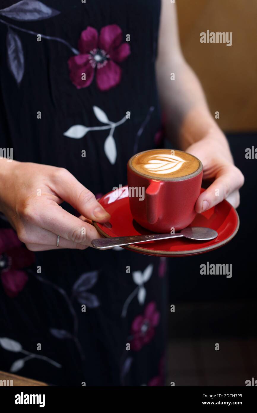 STATI UNITI / California / primo piano di una donna irriconoscibile che tiene la tazza di caffè al coperto. Foto Stock
