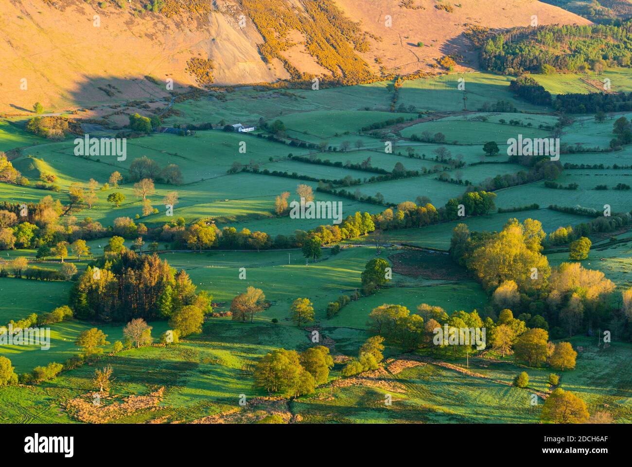 Newlands Valley Lake District Foto Stock