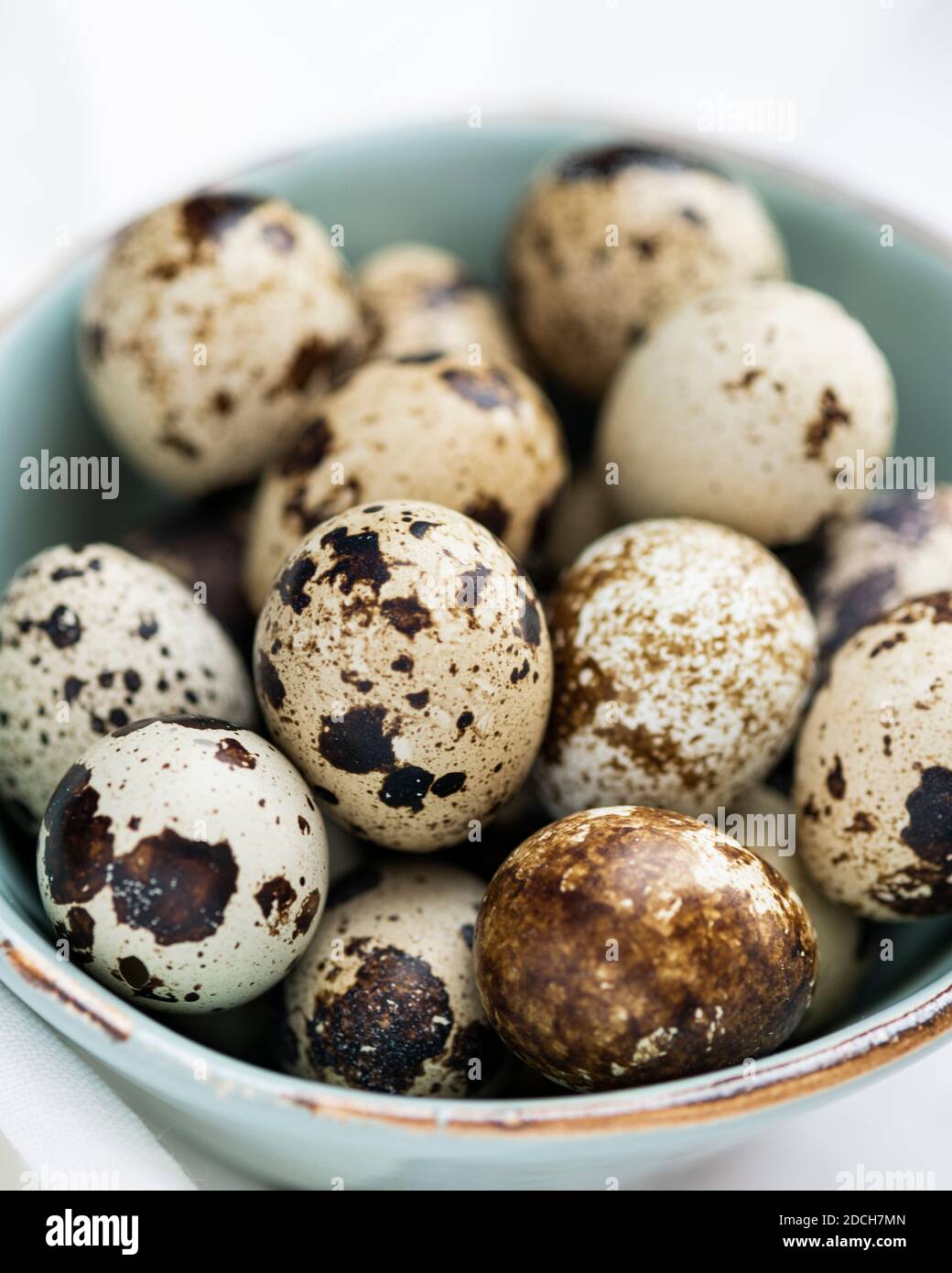 Uova di quaglia in ciotola verde, uova di quaglia, mucchio di uova di quaglie in ciotola, ciotola piccola piena di uova piccole, uova macchiate in ciotola, uova di quaglia in ciotola Foto Stock