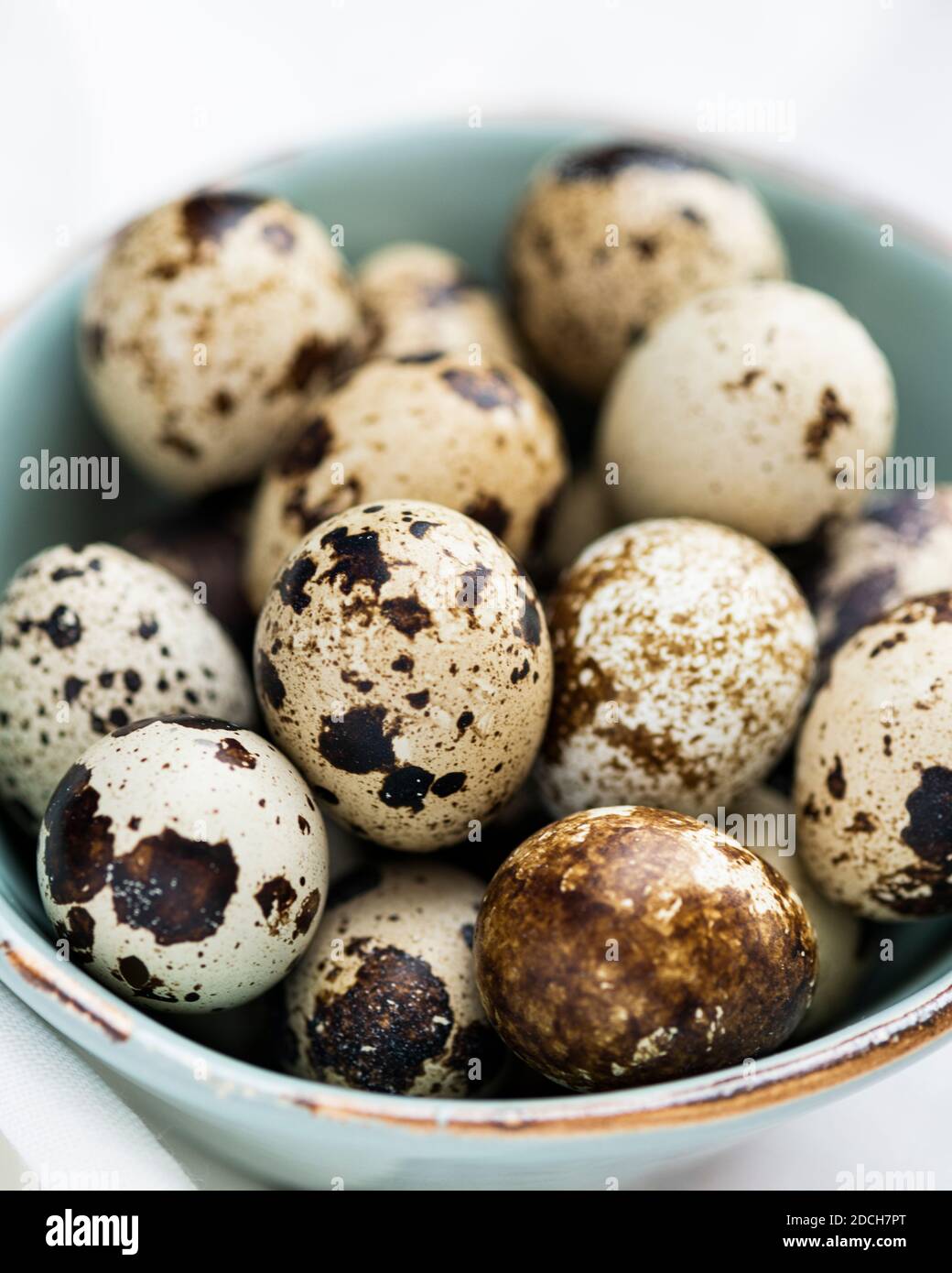 Uova di quaglia in ciotola verde, uova di quaglia, mucchio di uova di quaglie in ciotola, ciotola piccola piena di uova piccole, uova macchiate in ciotola, uova di quaglia in ciotola Foto Stock
